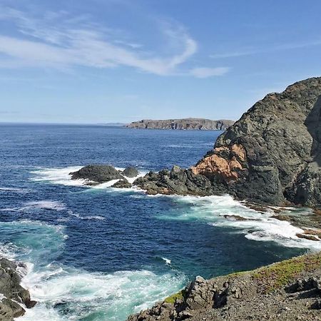 Hillside B&B Twillingate Zewnętrze zdjęcie