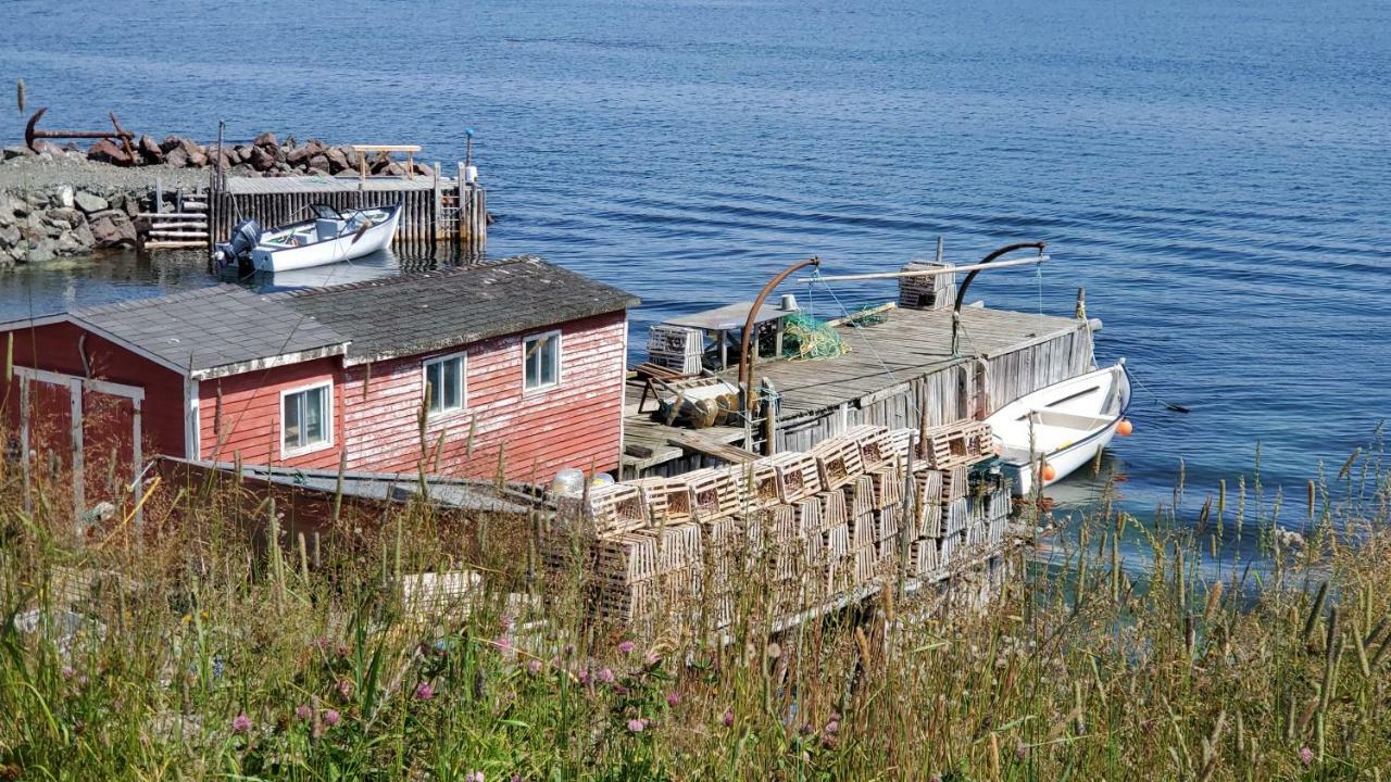 Hillside B&B Twillingate Zewnętrze zdjęcie